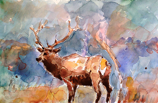 la cerf